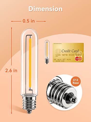 LED Replacement Bulbs 1W T13, 4 Pack Waterproof E12 Screw Base for Outdoor LED String Lights Shatterproof, for Indoor and Outdoor Use